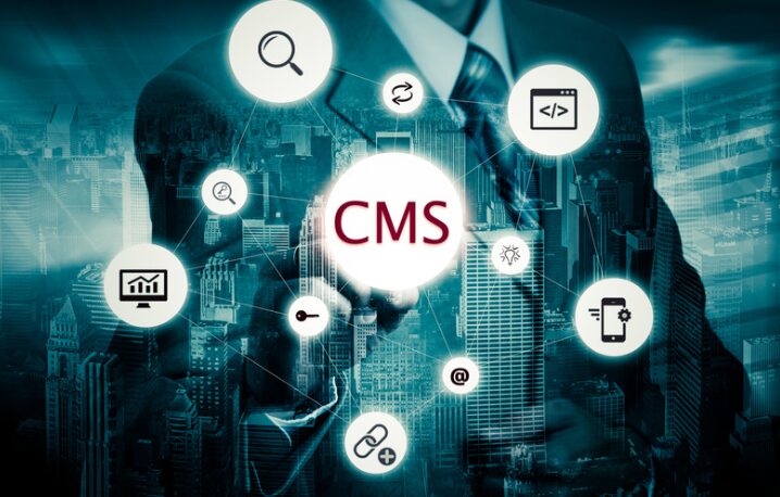 CMS in SEO